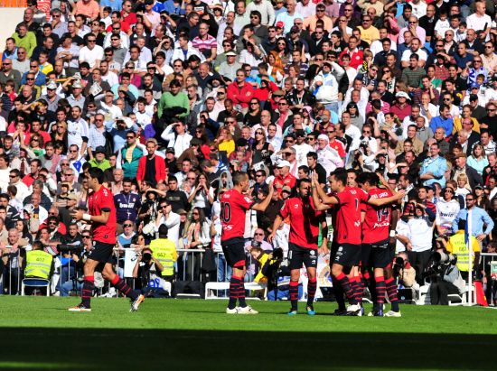 过积极引进 过积极引进